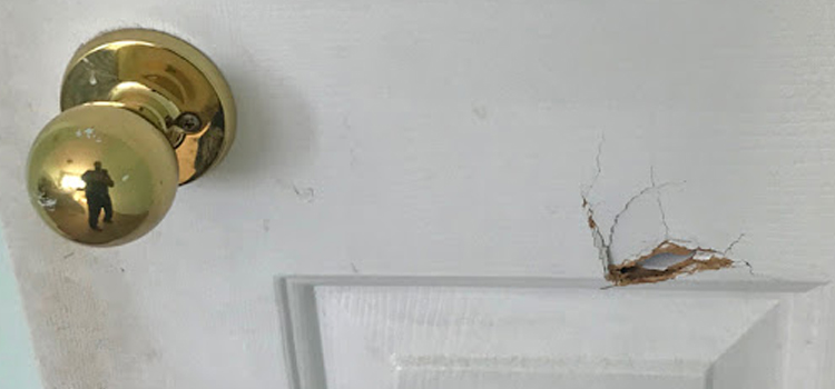 interior door hole repair Vincent